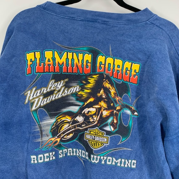 Harley Davidson Flaming Gorge Men’s Sweatshirt - Picture 8 of 13
